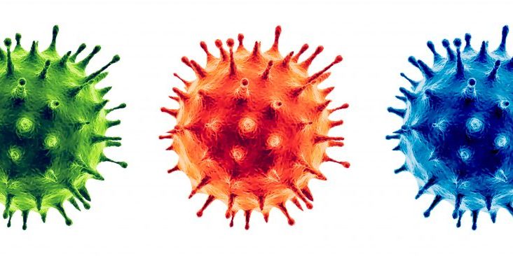 Coronavirus or Flu virus isolated - Microbiology And Virology Concept