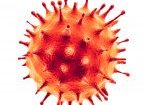 Coronavirus or Flu virus isolated - Microbiology And Virology Concept